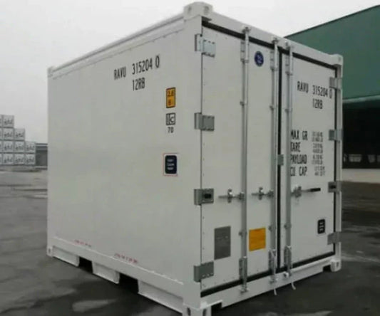 Contentor refrigerado compacto de 3 metros (10 pés)